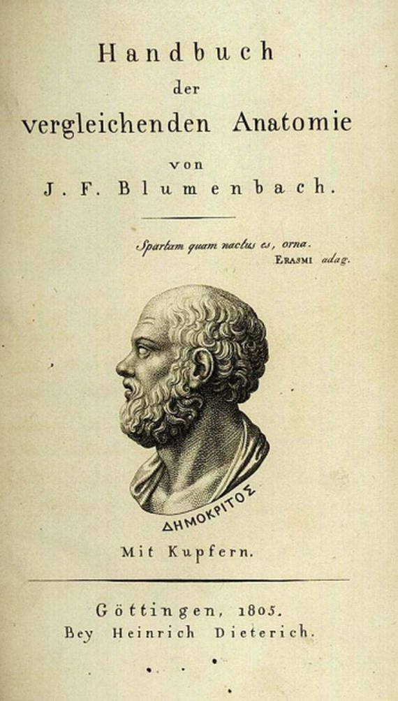 J. F. Blumenbach - Handbuch der vergleichenden Anatomie. 1805.