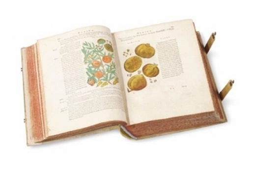 Pietro Andrea Matthiolus - De plantis epitome. 1586