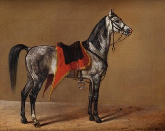 Albrecht Adam - Stehendes Pferd nach rechts
