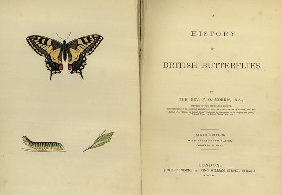 Francis Orpen Morris - History of british butterflies. 1890
