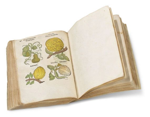 Herbarum, arborum, fruticum, frumentorum - Herbarum, arborum, fruticum, frumentorum. 1552