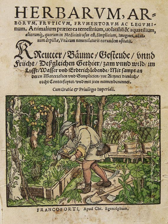 Herbarum, arborum, fruticum, frumentorum - Herbarum, arborum, fruticum, frumentorum. 1552