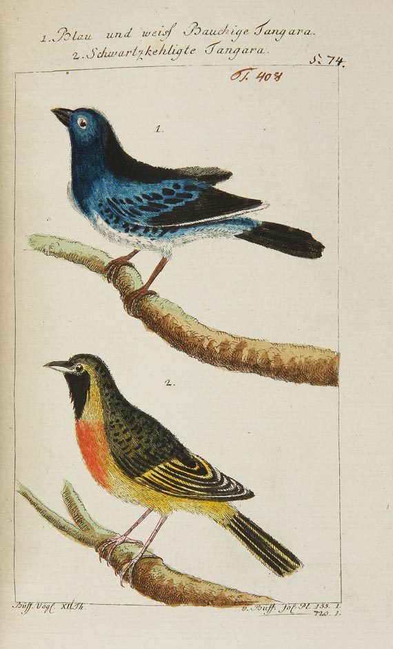 Georges Louis Leclerc comte de Buffon - Naturgeschichte der Vögel, 3 Bde. 1784. (13)
