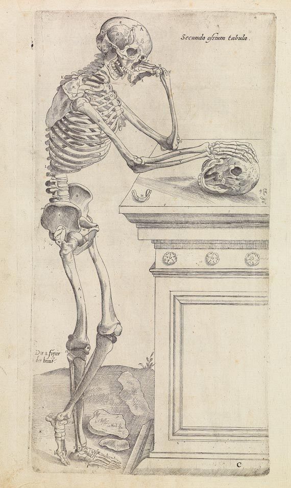 Andreas Vesalius - Anatomia. 1617