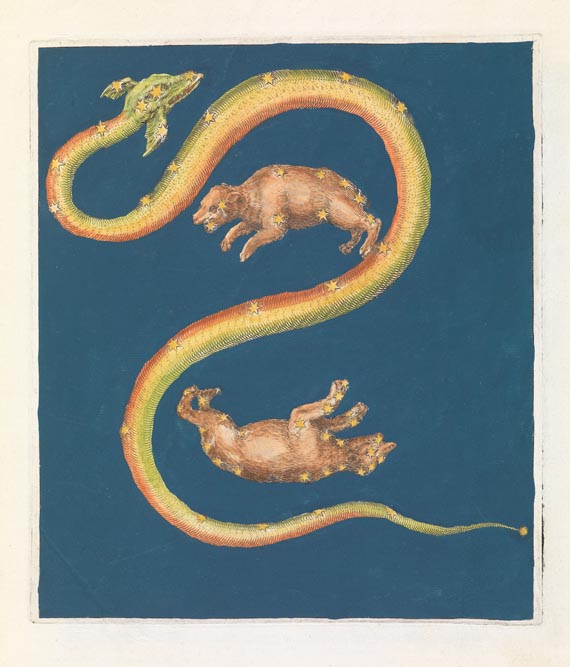 Jakob de Gheyn II. - Arataea. 1621. - Weitere Abbildung