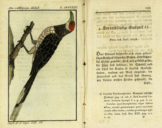 Georges Louis Leclerc comte de Buffon - Naturgeschichte der Vögel, 4 Bde., 1794-1800.
