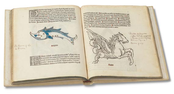Gaius Julius Hyginus - Poeticon Astronomicon. 1482. - Weitere Abbildung