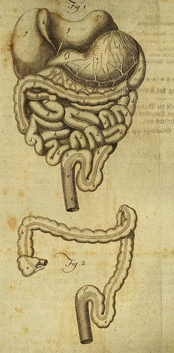 Johannes Kämpf - Abhandlung Krankheiten 1786 und Horsch, Handbuch, zus. 2 Bde.