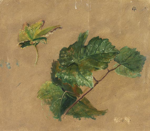 Christian Friedrich Gille - 2 Blätter: Distelblüten-Studie und Weinblatt-Studie - Weitere Abbildung