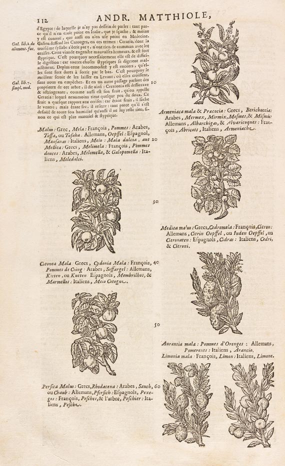 Pietro Andrea Matthiolus - Les commentaires sur Dioscoride. 1680