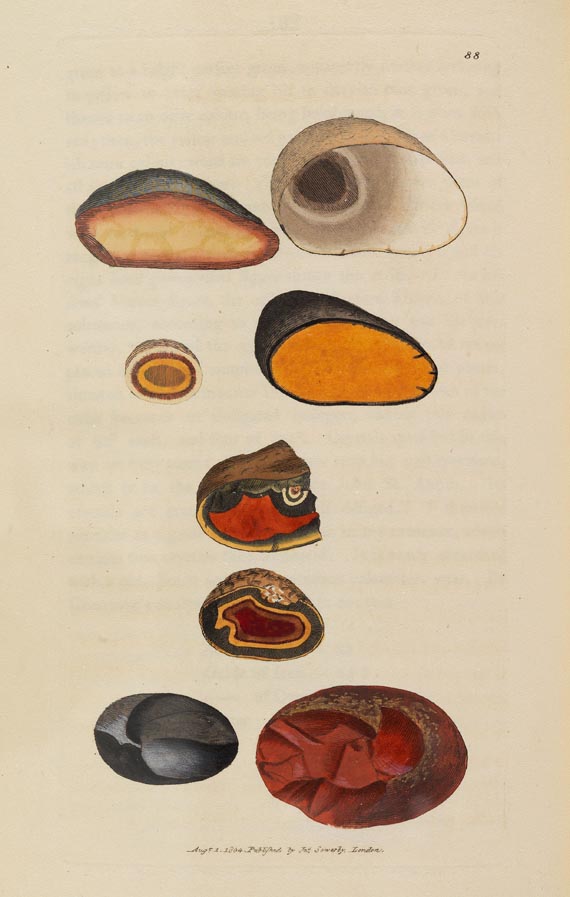 James Sowerby - British Mineralogy, Bd. 1, 1804 - Weitere Abbildung