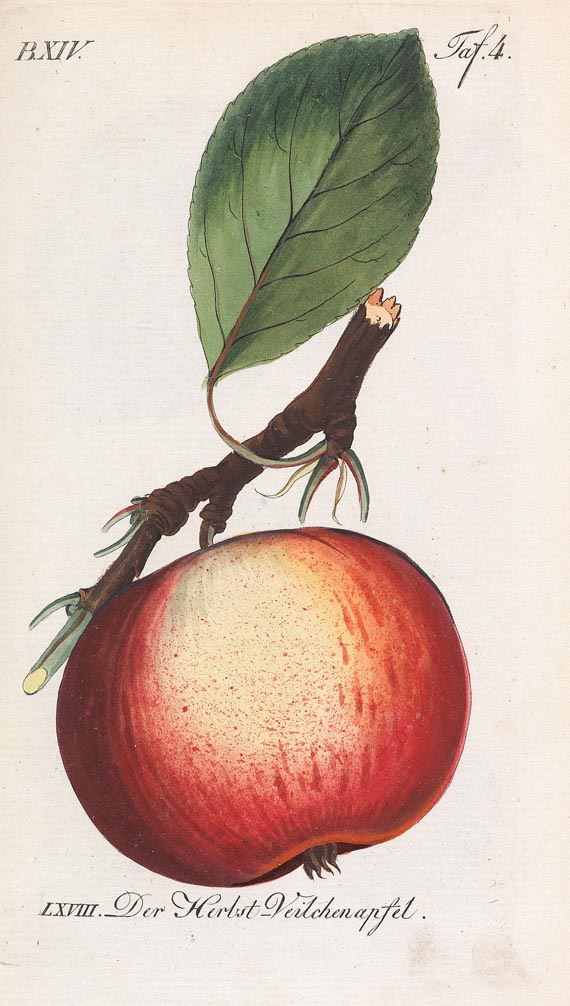 Johann Sickler - Der teutsche Obstgärtner 20 Bde. 1794