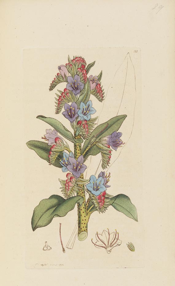 James Sowerby - English Botany, 32 Bde, 1790-1814