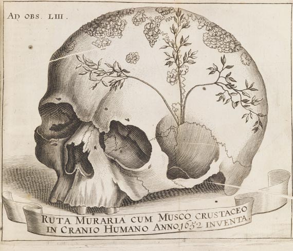 Miscellanea curiosa - Miscellanea curiosa. 1671