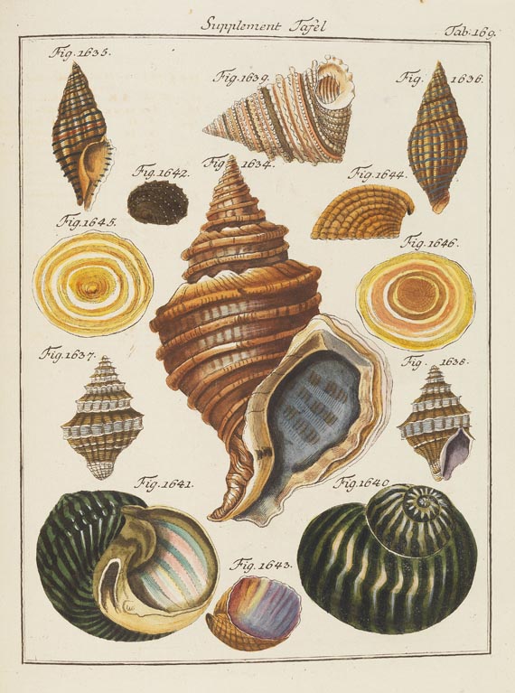 Friedrich Heinrich Wilhelm Martini - Conchylien-Cabinet. 1769-1829. 12 Bde. - Weitere Abbildung