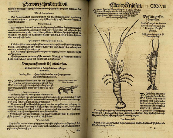 Conrad Gesner - Fischbuch. 1575