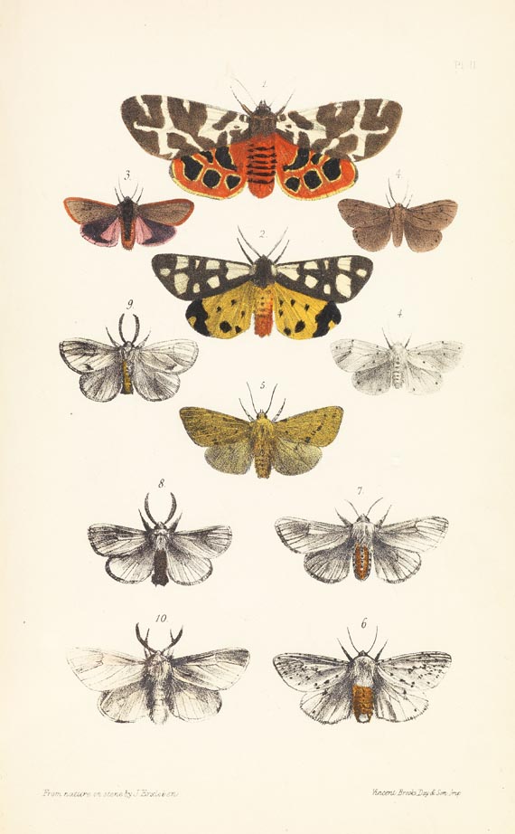 Francis Orpen Morris - British Moths, 4 Bde., 1872.