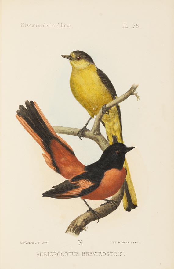 Armand David - Oustalet, Les oiseaux de la Chine. 1877. 2 Bde.