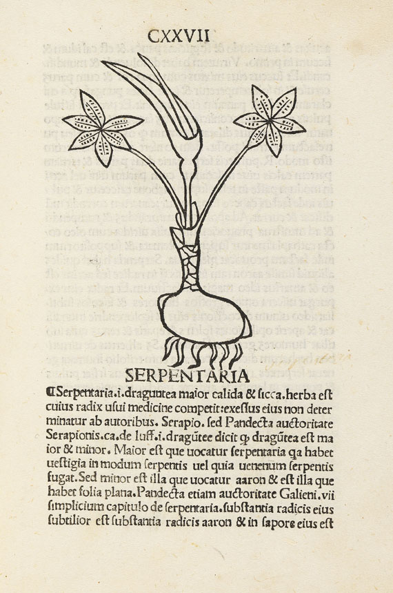Herbarius latinus - Herbarium. 1491   17(11)