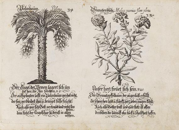 Wolf Helmhard von Hohberg - Emblematische Psalmen-Lust. ca. 1710