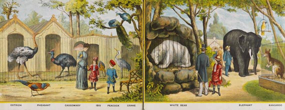 Panorama of the zoological gardens - Panorama of the zoological gardens. (125)