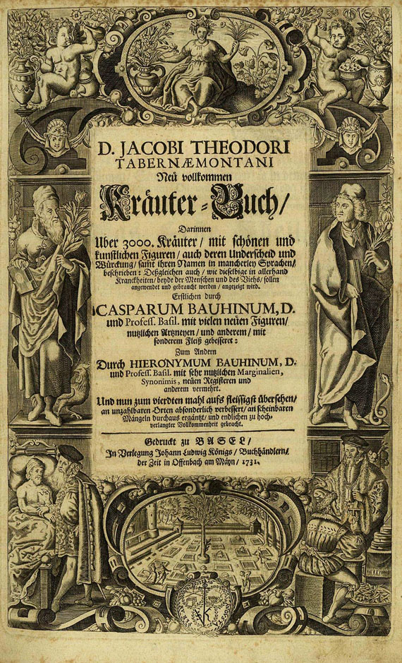 Jacobus Theodorus Tabernaemontanus - Neu vollkommen Kräuterbuch, 1731.