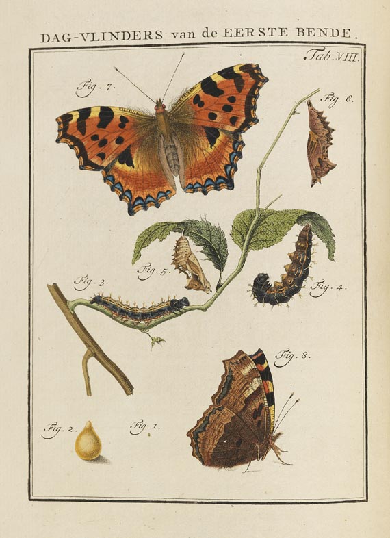 Jan Christiaan Sepp - Nederlandsche Insecten. 8 Bde. 1762-1860