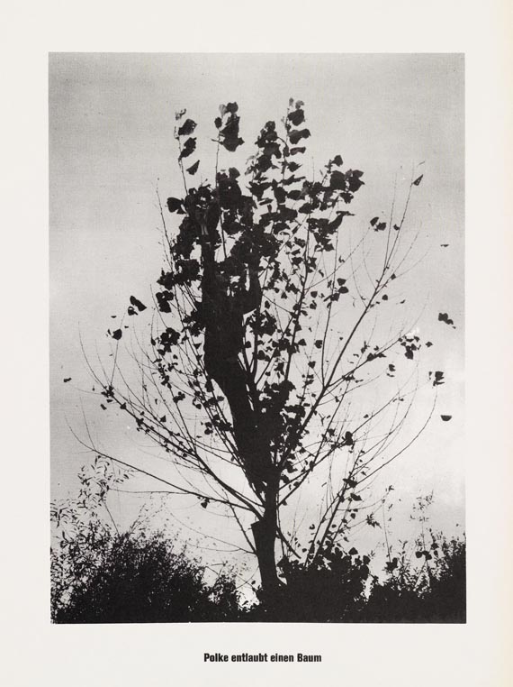 Sigmar Polke - ...Höhere Wesen befehlen - Weitere Abbildung