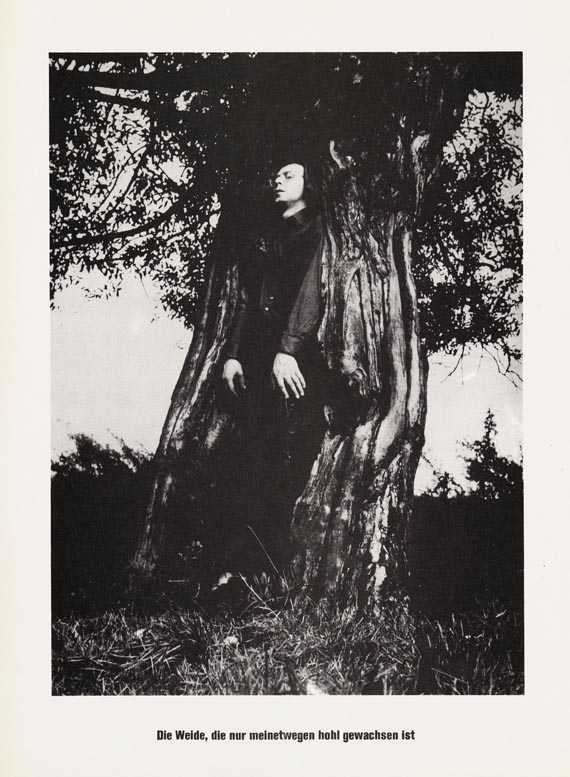 Sigmar Polke - ...Höhere Wesen befehlen - Weitere Abbildung