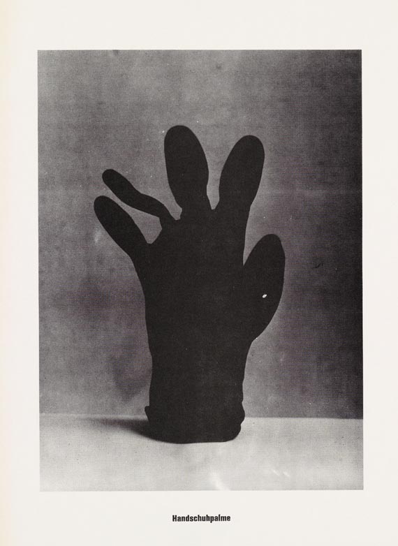 Sigmar Polke - ...Höhere Wesen befehlen - Weitere Abbildung