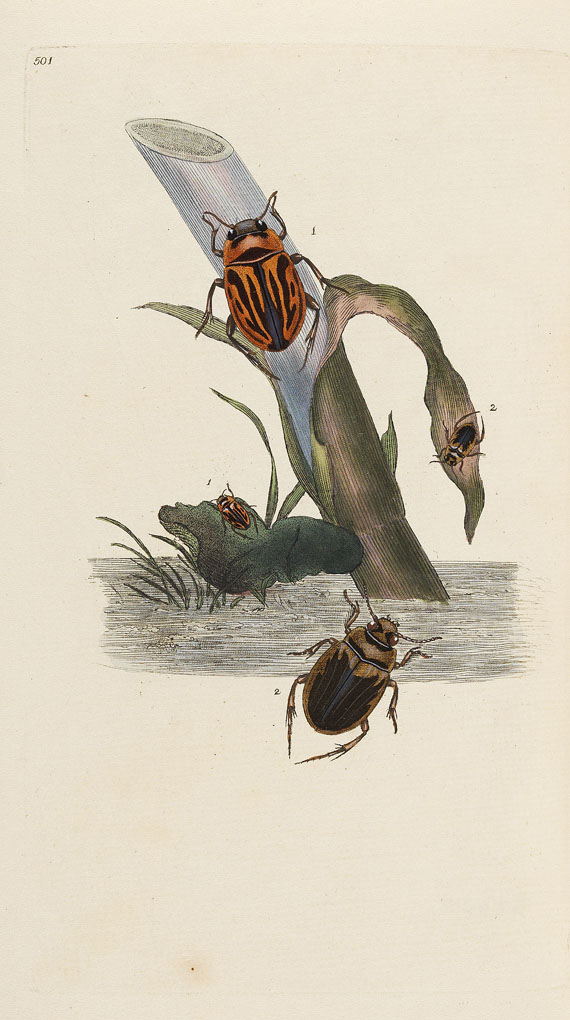 E. Donovan - Natural history of british insects. 8 Bde. 1794-1813.