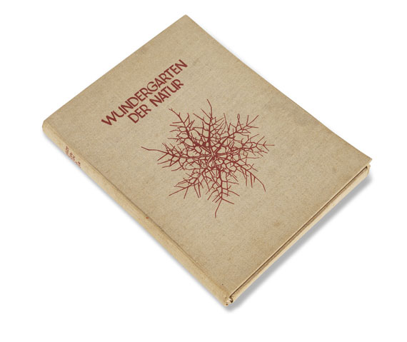 Karl Blossfeldt - Wundergarten der Natur. 1932. - Einband
