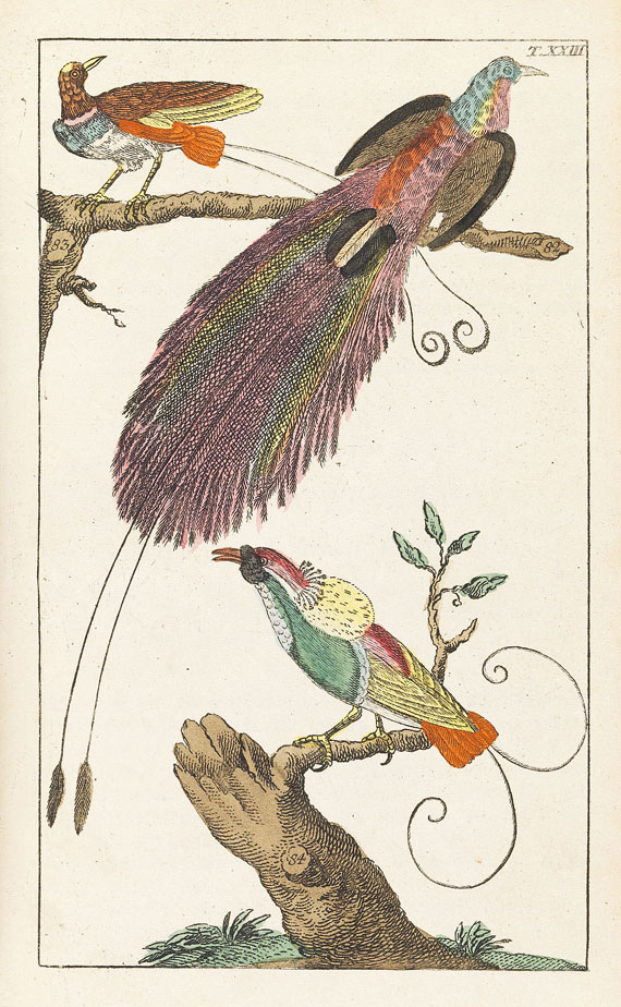 Gottlieb Tobias Wilhelm - Naturgeschichte, 1834. 27 Bde. - Weitere Abbildung