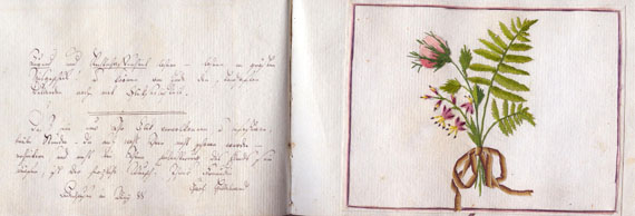  Album amicorum - Stammbuch, Lemgo. 1782.