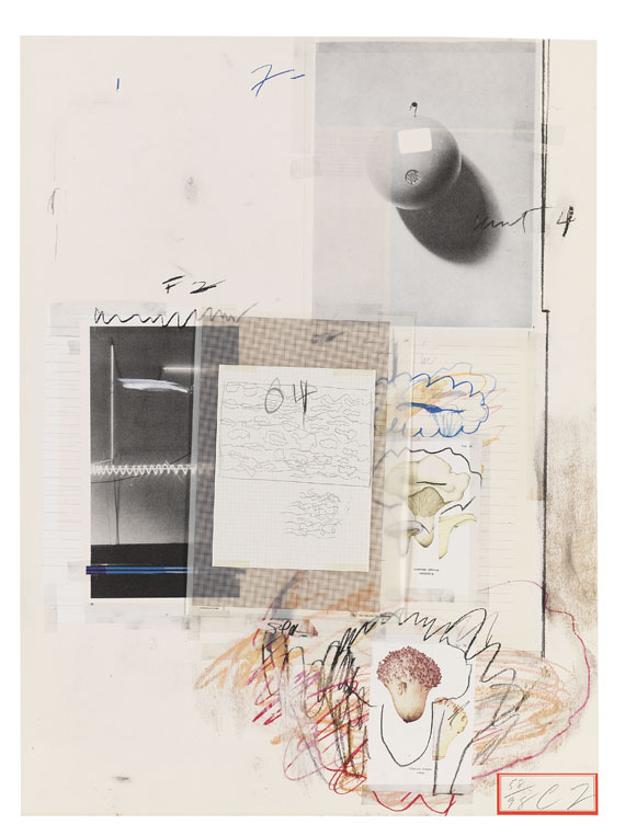 Cy Twombly - Natural History Part I, Mushrooms - Weitere Abbildung