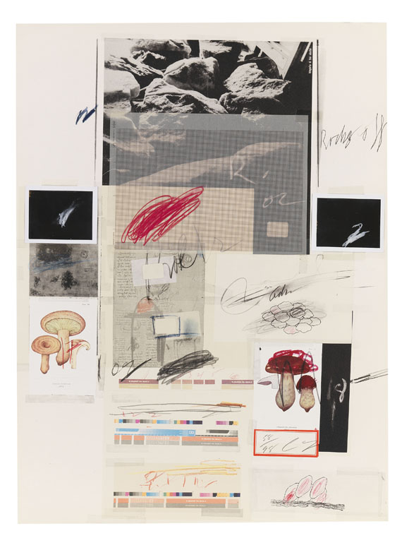 Cy Twombly - Natural History Part I, Mushrooms - Weitere Abbildung