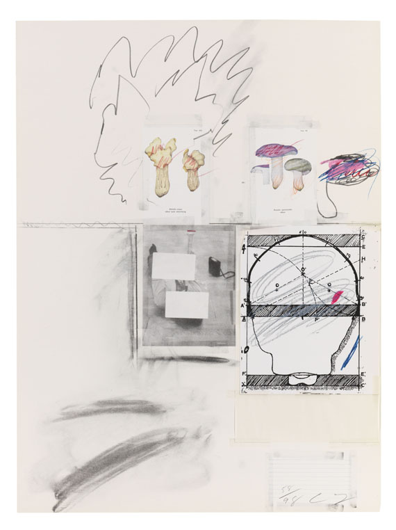 Cy Twombly - Natural History Part I, Mushrooms