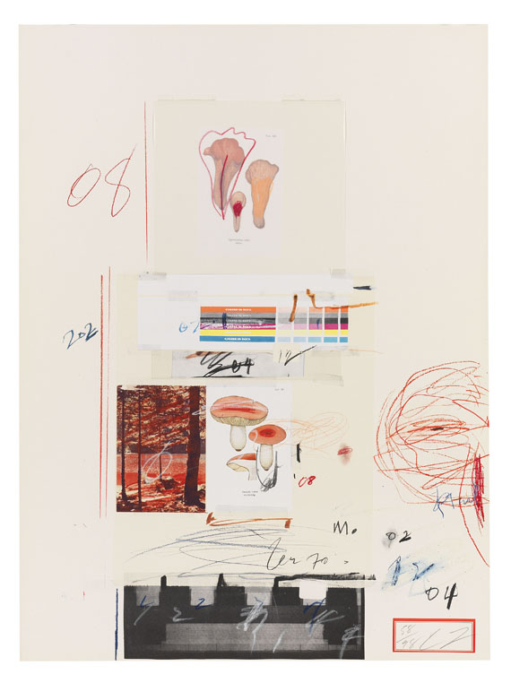 Cy Twombly - Natural History Part I, Mushrooms - Weitere Abbildung