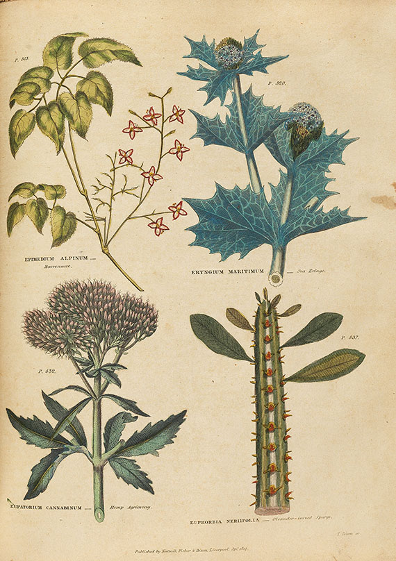 Thomas Green - Universal herbal. 2 Bde. 1824