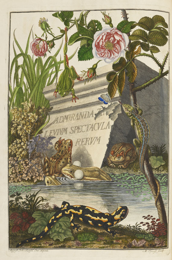 August J. Rösel von Rosenhof - Historia naturalis. 1758