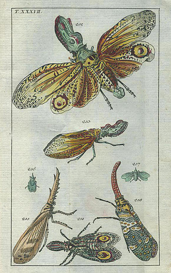 Gottlieb Tobias Wilhelm - Naturgeschichte. 1796-98. 2 Bde.