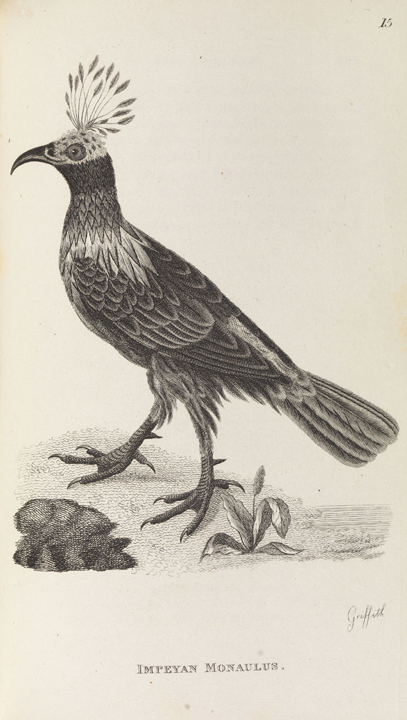 George Shaw - General zoology. 1800-26. 28 Bde.- Dabei: Zoological lectures. 1809. 2 Bde. - Weitere Abbildung