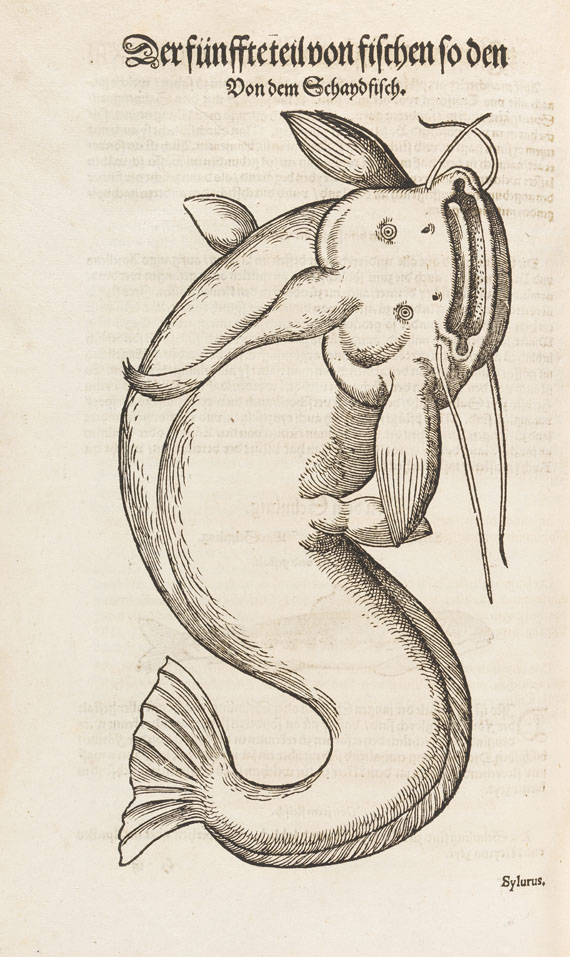 Conrad Gesner - Vogel-, Thier-, Fisch- und Schlangenbuch, 1575-89.