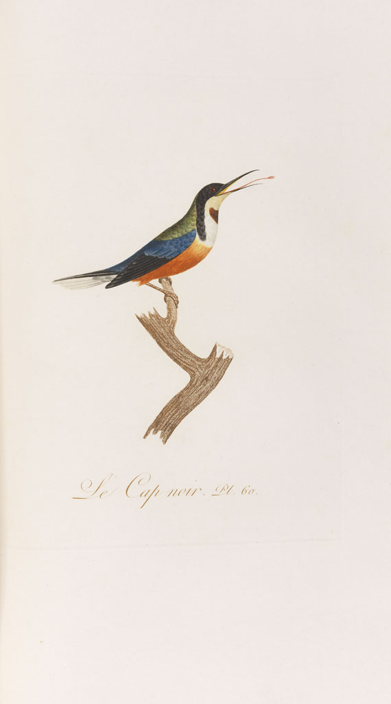 Jean Baptiste Audebert - Oiseaux dorés ou reflets métalliques. 1802. 2 Bde.. - Weitere Abbildung