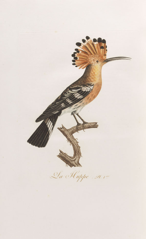 Jean Baptiste Audebert - Oiseaux dorés ou reflets métalliques. 1802. 2 Bde..