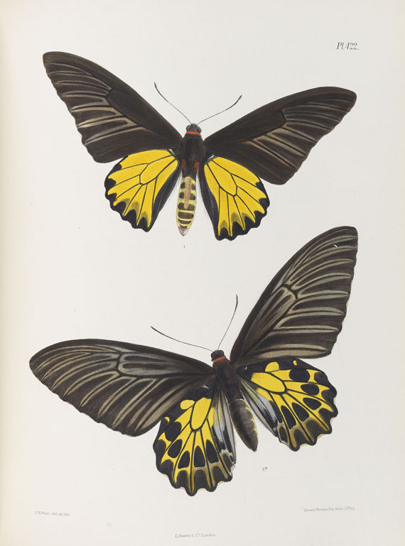 Frederic Moore - Lepidoptera Indica. 1890-1913. 10 Bde..