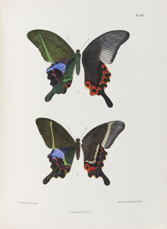 Frederic Moore - Lepidoptera Indica. 1890-1913. 10 Bde.. - Weitere Abbildung