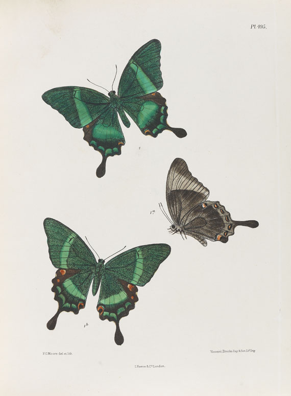 Frederic Moore - Lepidoptera Indica. 1890-1913. 10 Bde..