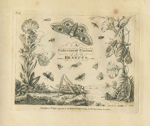 August J. Rösel von Rosenhof - A collection of curious insects. 1794.