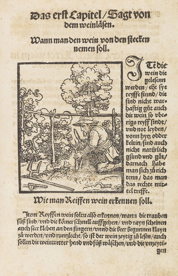   - Kellermaisterey. Augsburg 1536.. - Weitere Abbildung